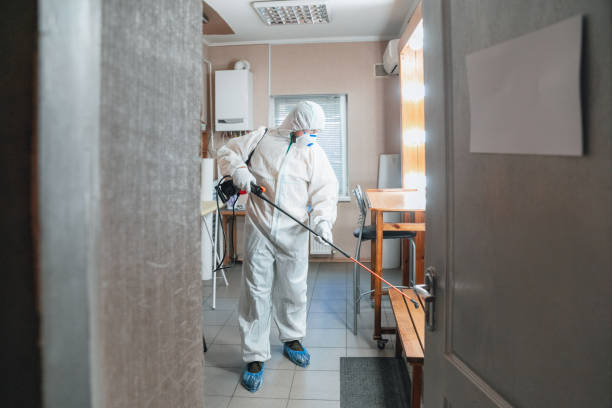 Biohazard Mold Removal in Fort Stockton, TX